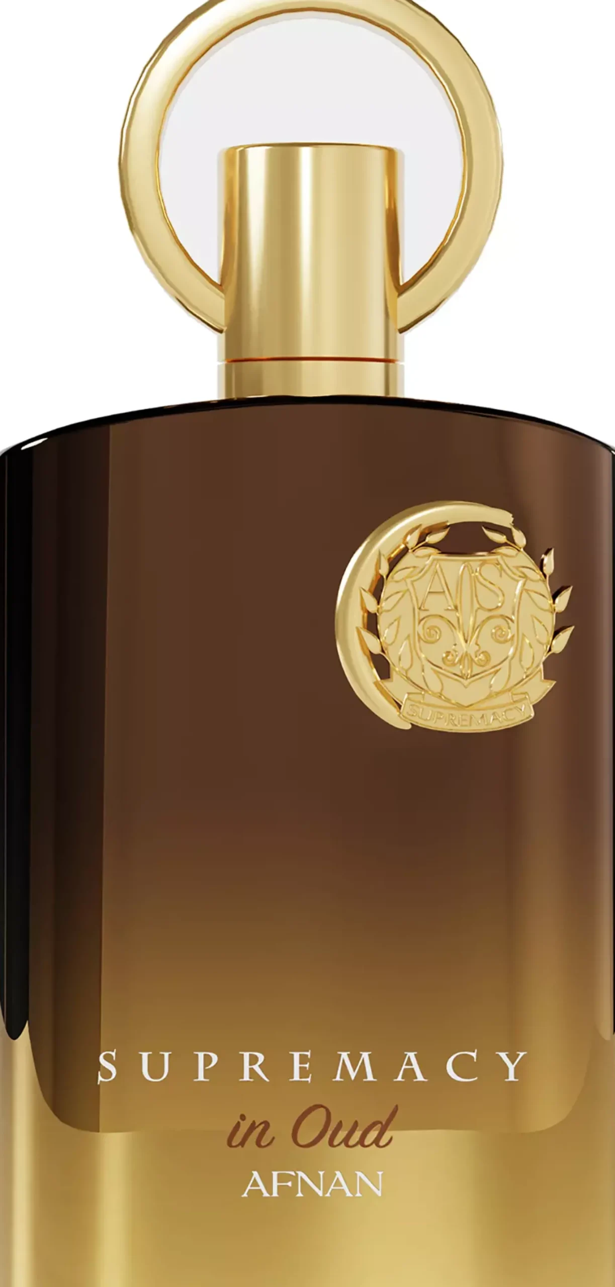 Afnan Perfumes Supremacy In Oud Extrait de Parfum 150 st