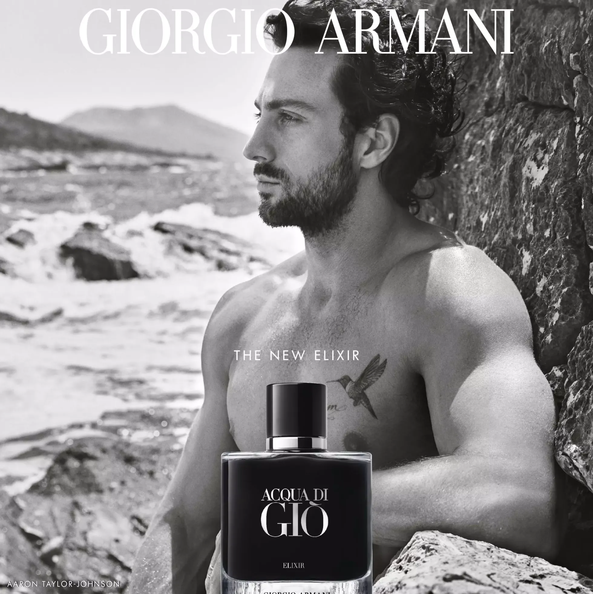 ArmaniAcqua di Giò Elixir 50 ml