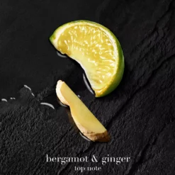 ArmaniAcqua di Giò Parfum 50 ml
