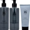 BjörkFUKT Bundle Shampoo 250 ml & Conditioner 250 ml & Treatment Masque 200 ml