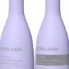 Björn Axén Cool Blonde Coloring Silver