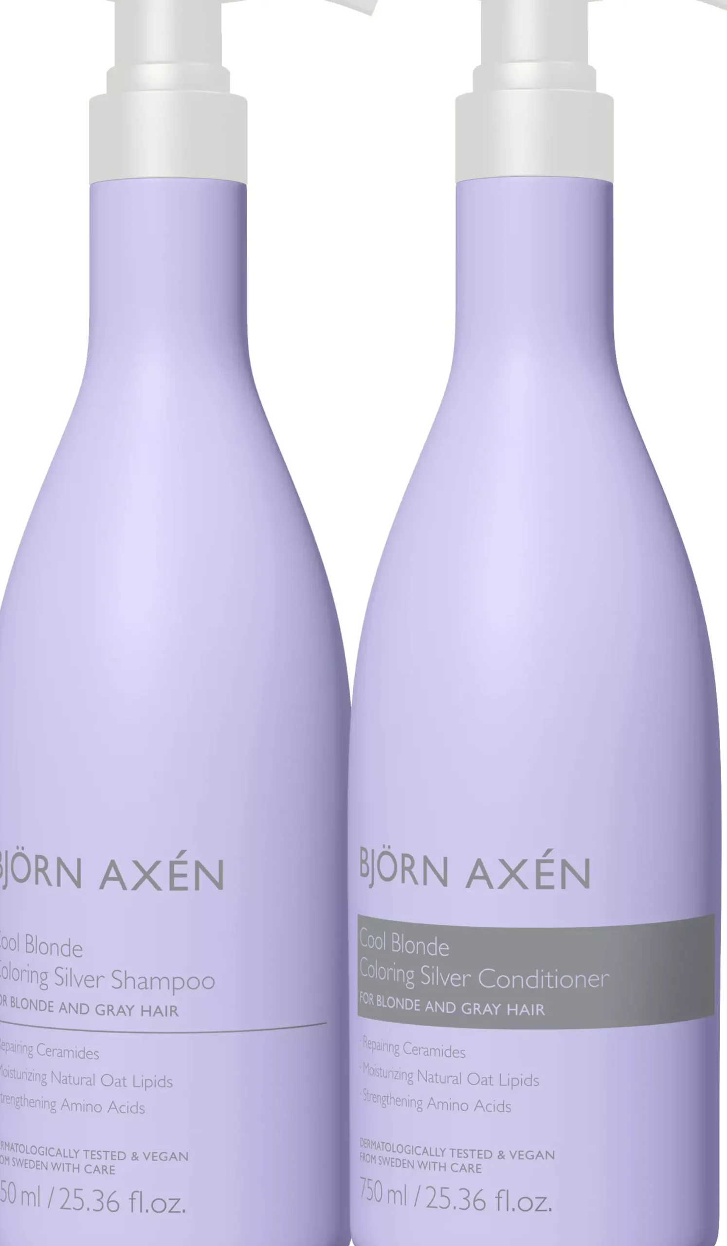 Björn Axén Cool Blonde Coloring Silver