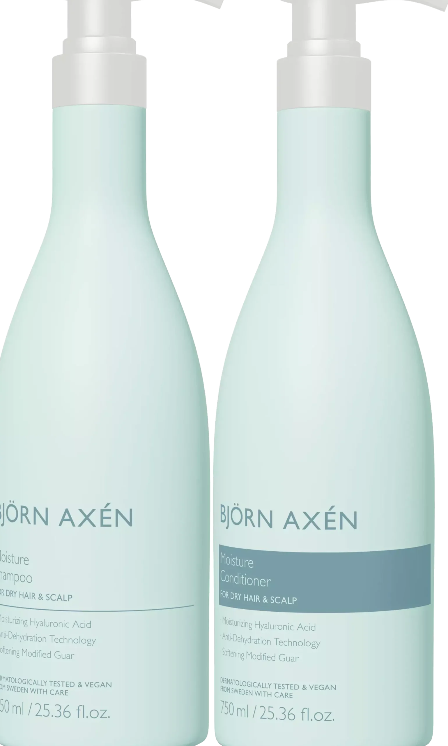 Björn AxénMoisture Package