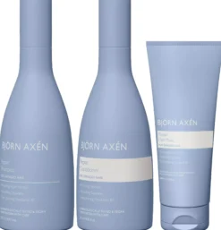 Björn Axén Repair Trio