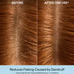 BriogeoScalp Revival™ Dandruff Relief Conditioner 248 ml