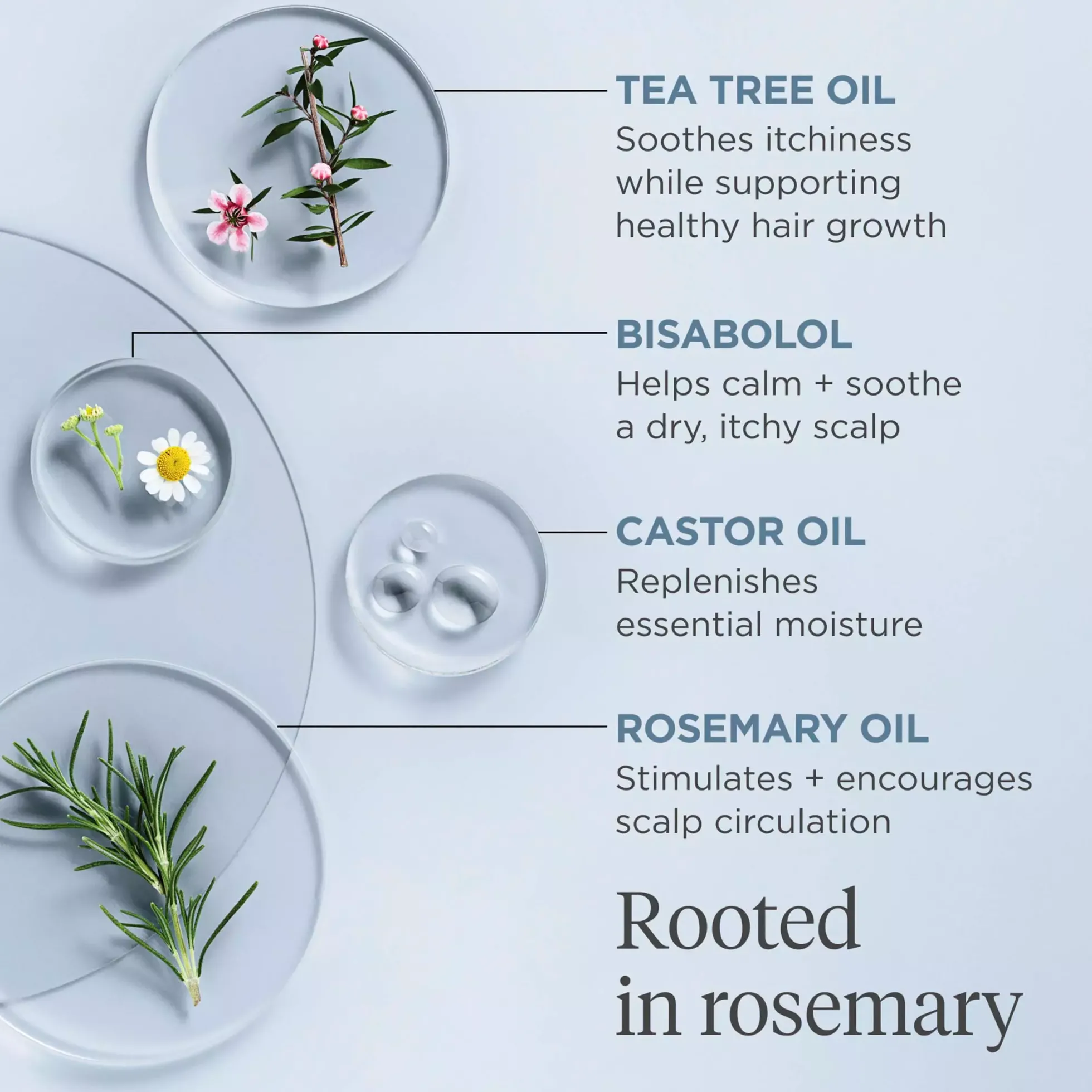 BriogeoScalp Revival™ Rosemary Pre-Wash Oil