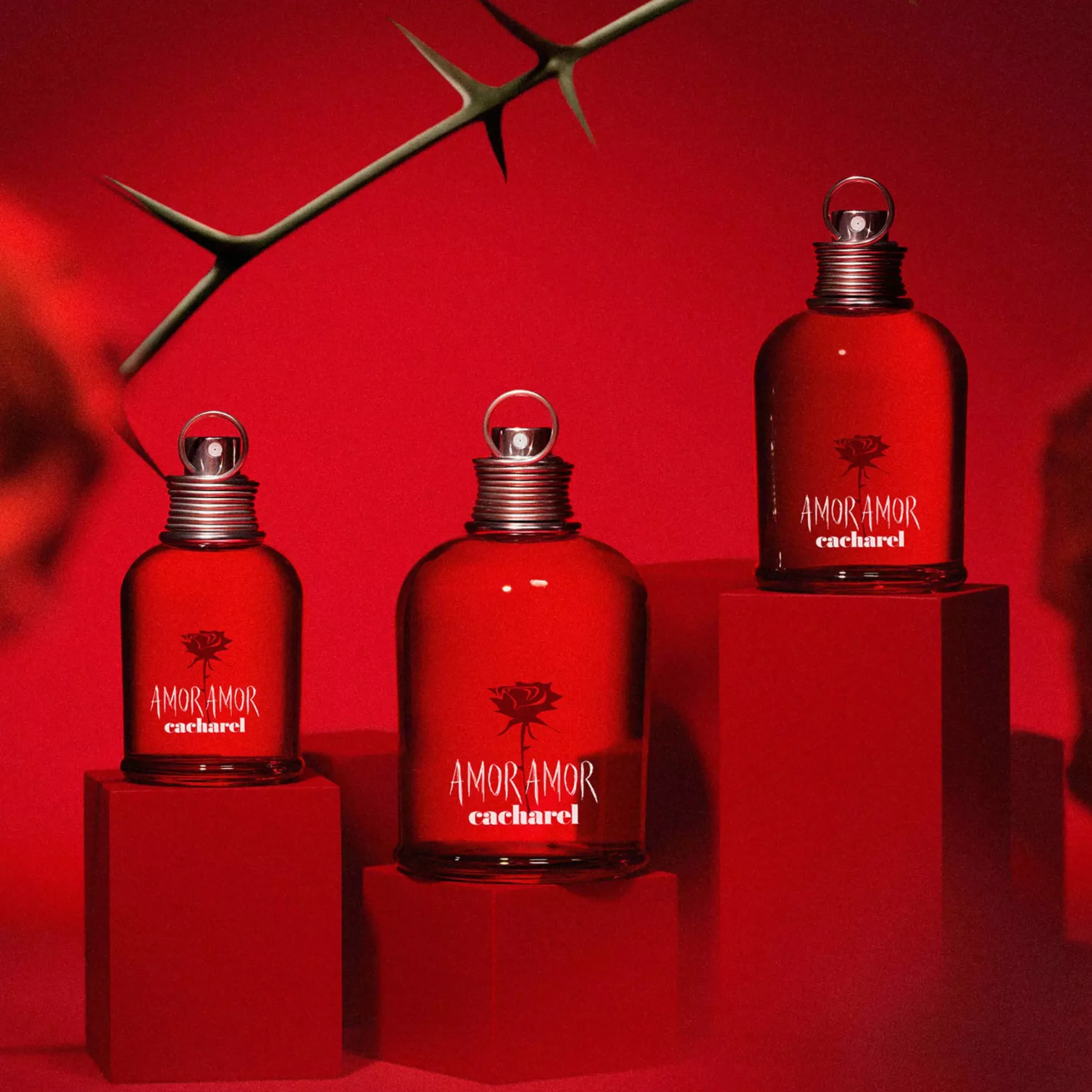 CacharelAmor Amor Eau De Toilette Spray 30 ml