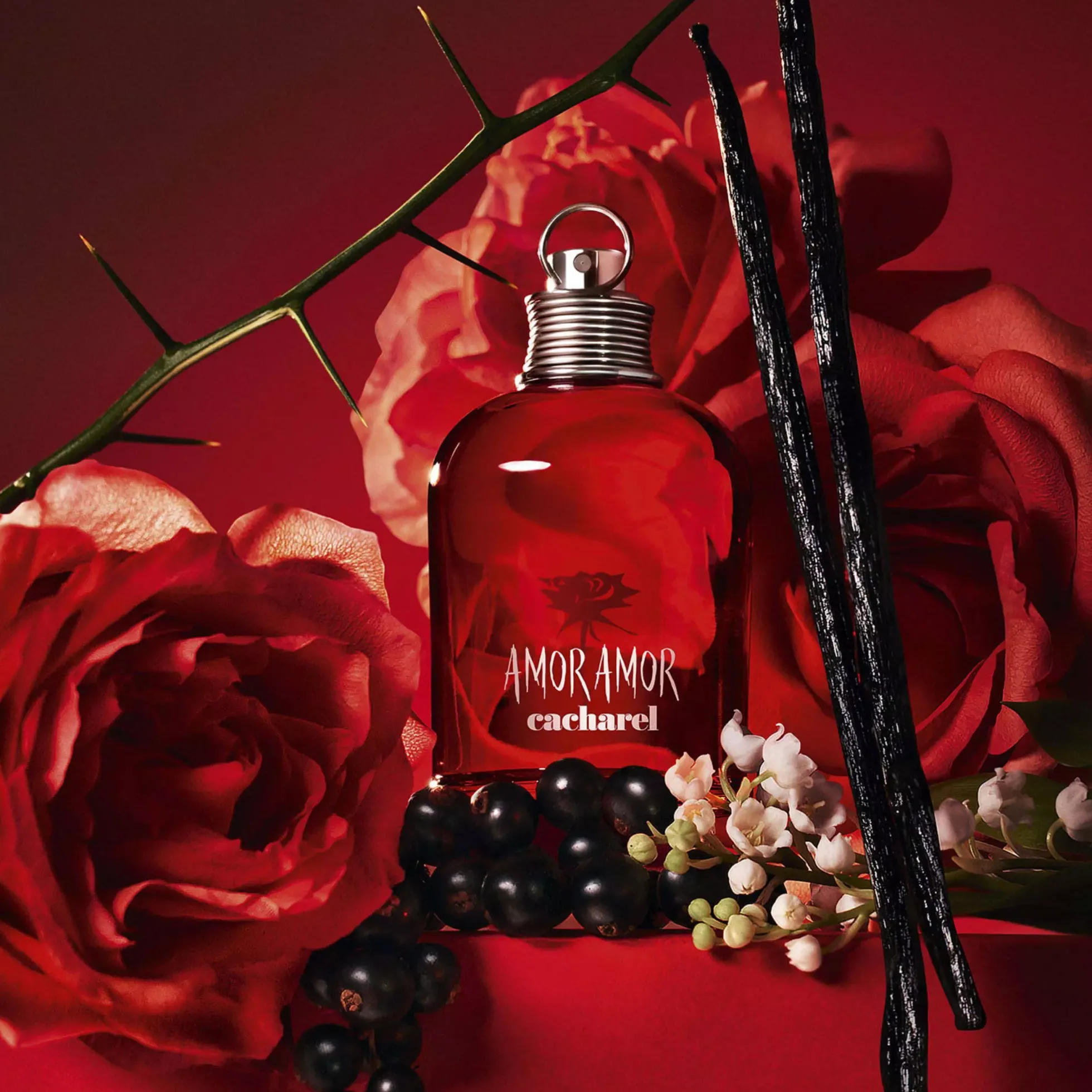 CacharelAmor Amor Eau De Toilette Spray 30 ml