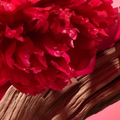 Cacharel Yes I Am Bloom Up! Eau de Parfum 30 ml
