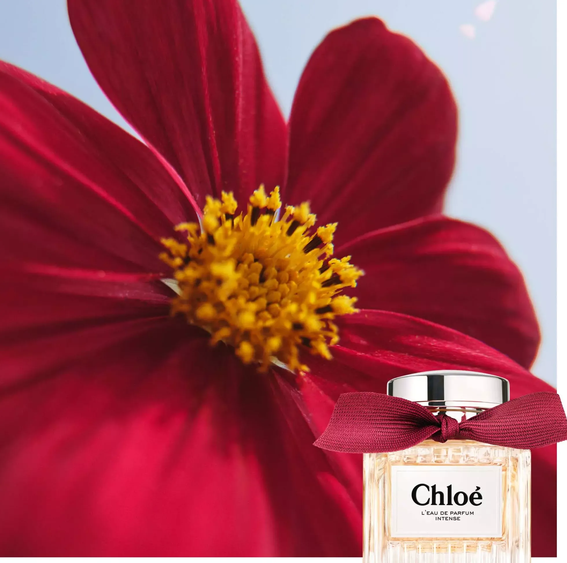 Chloé L'Eau De Parfum Intense Eau De Parfum 50 ml