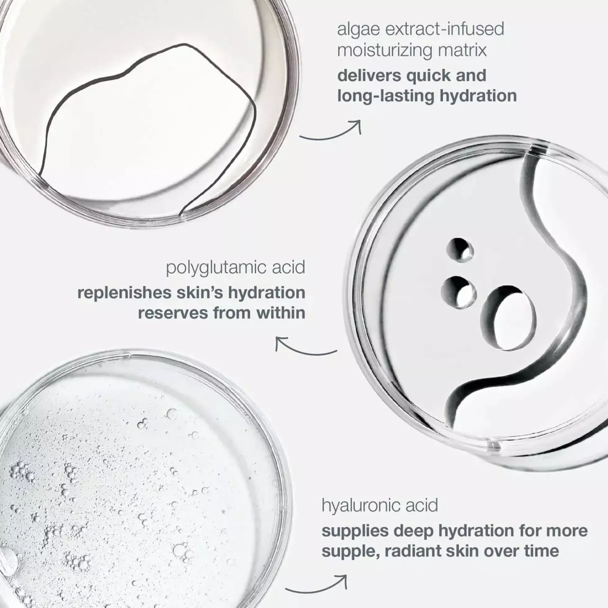 Dermalogica Circular Hydration Serum 10 ml