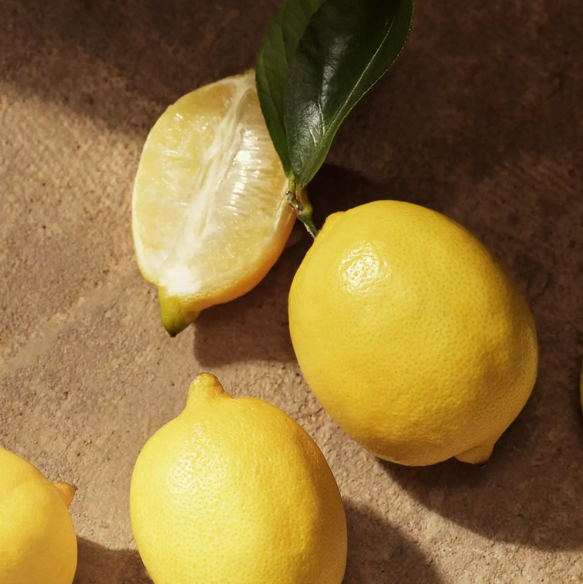 Dolce & Gabbana Devotion Pour Homme Eau de Parfum 10 ml