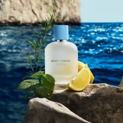 Dolce & Gabbana Light Blue Pour Homme Eau de Toilette 50 ml