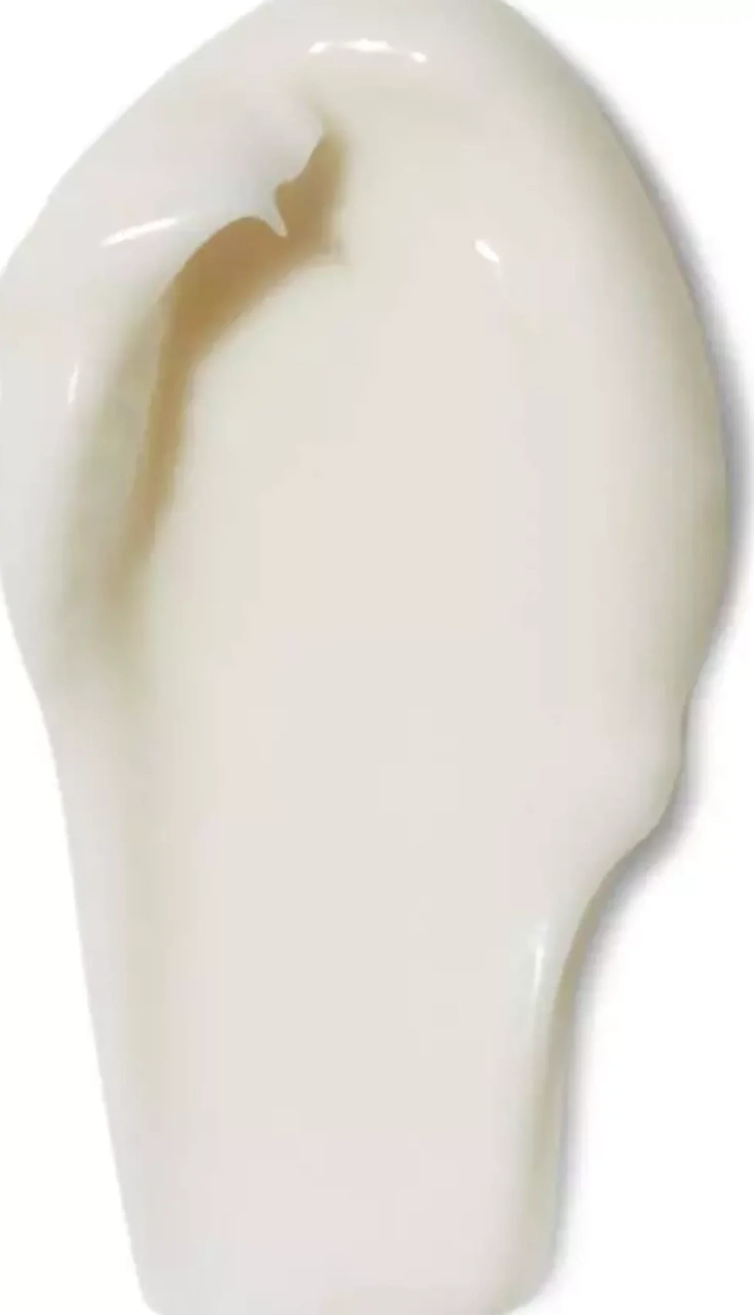 Dr. Barbara Sturm Face Cream Rich 50 ml