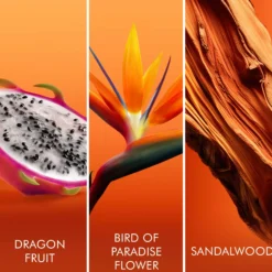 Escada Bali Paradise Eau de Toilette 50 ml