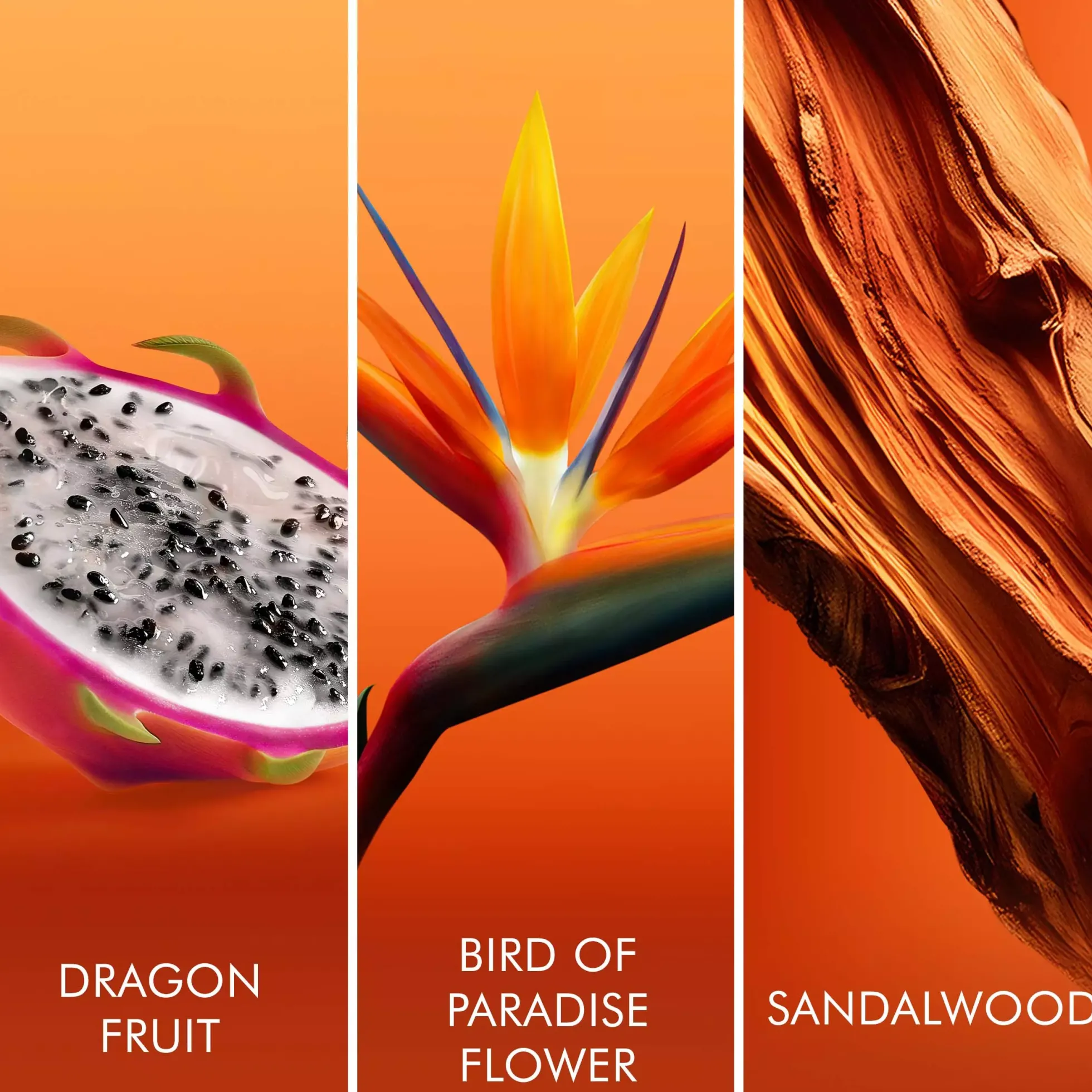 Escada Bali Paradise Eau de Toilette 50 ml