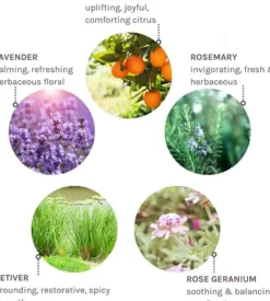 Evolve Organic Beauty Pure Tranquility Hand & Body Wash 250 ml