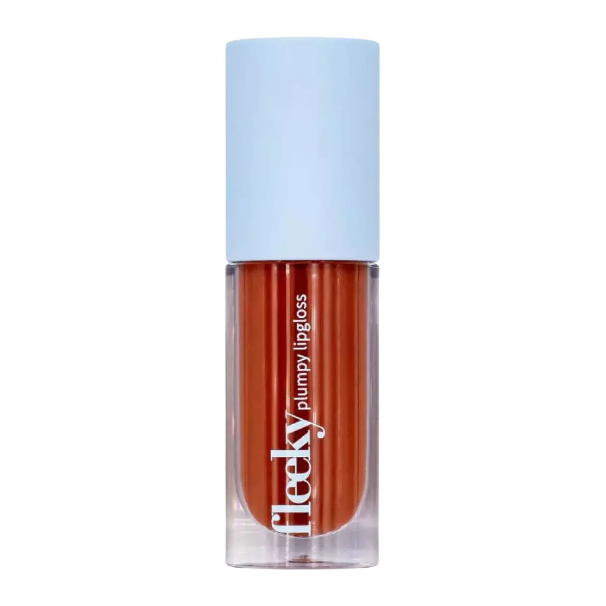 Fleeky Plumpy Lip Gloss #2 Toffee Brown