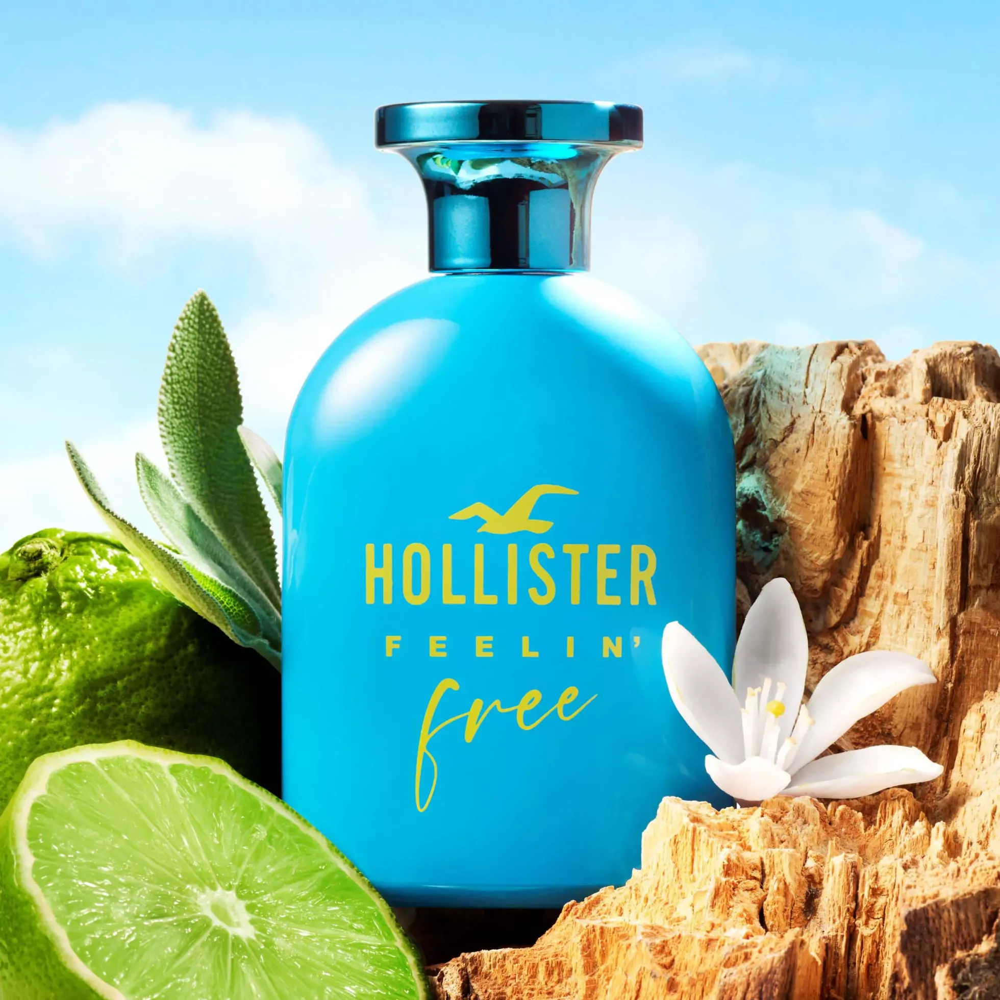HollisterFeelin´ Free For Him Eau de Toilette 100 ml