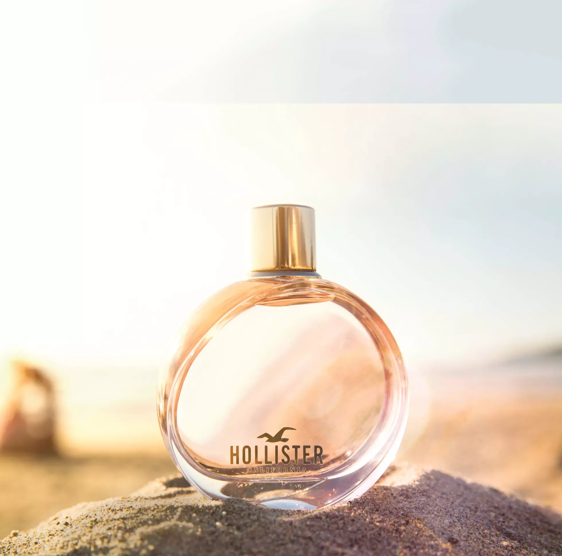 HollisterWave For Her Eau de Parfum 100 ml