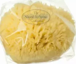 Hydréa London Grass Sea Sponge Caribbean
