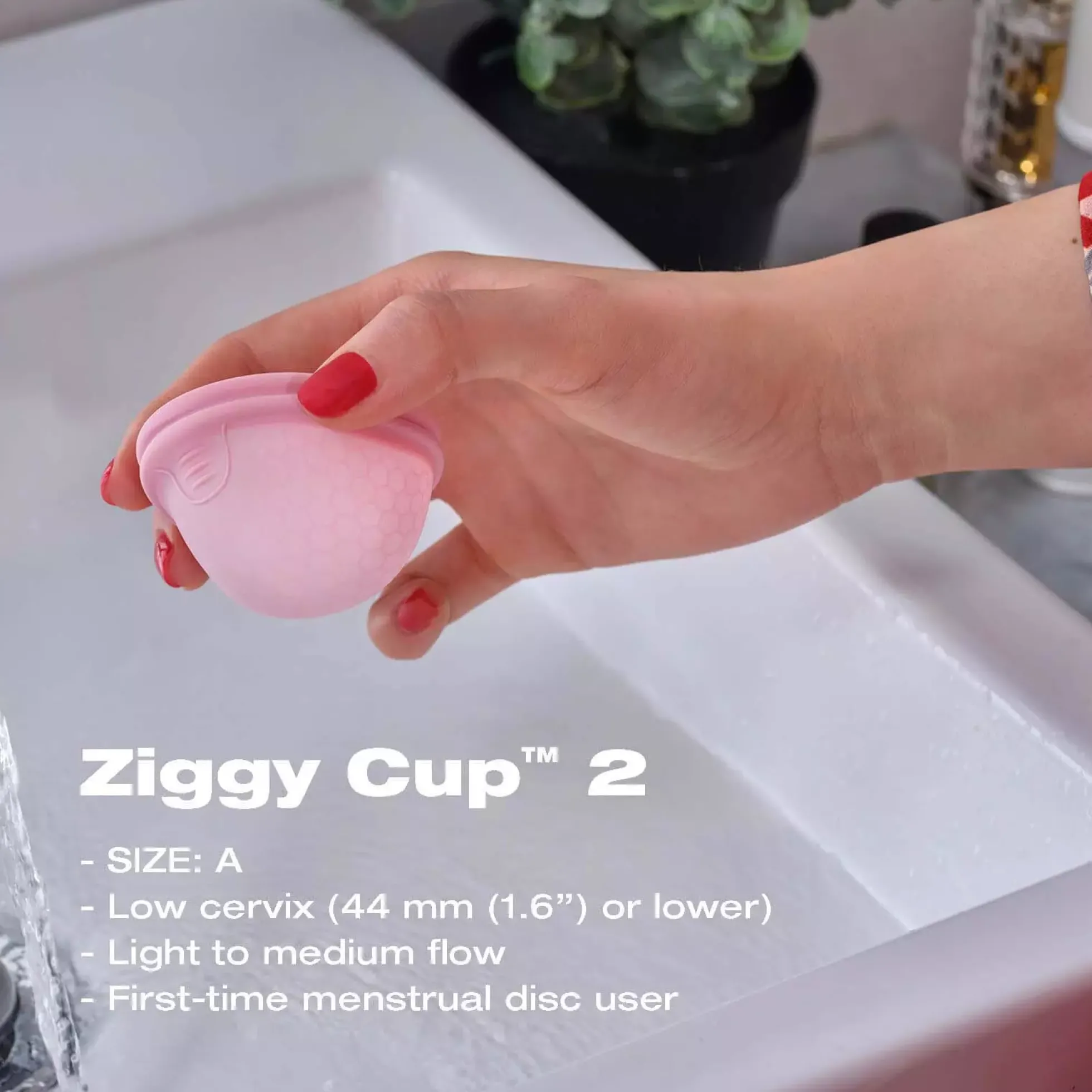 INTIMINA Ziggy Cup 2 A