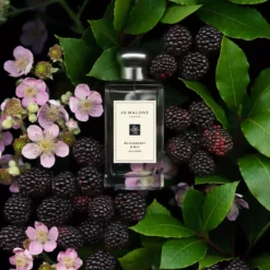 Jo Malone London Blackberry & Bay Cologne Pre-Pack 100 ml