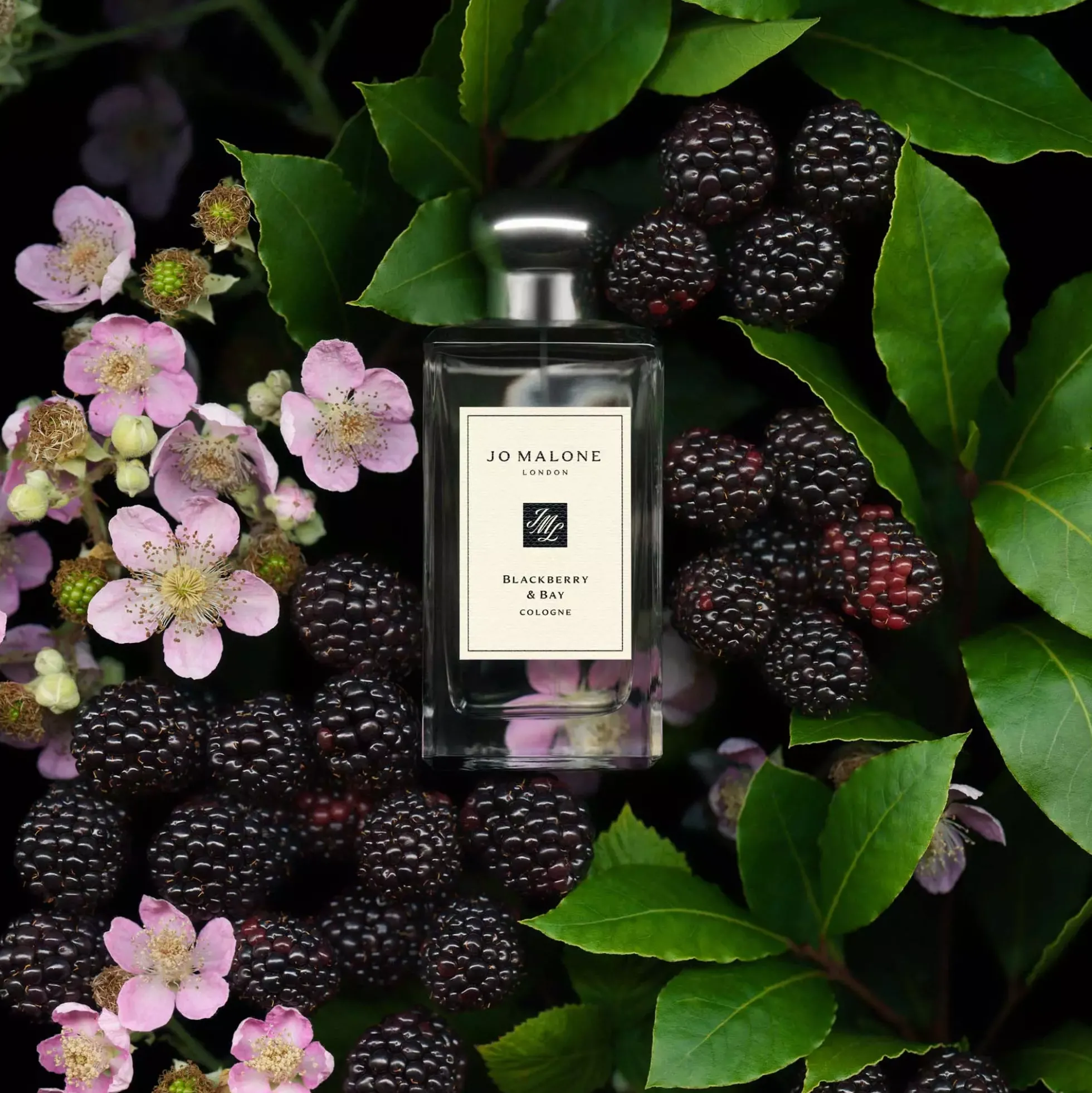 Jo Malone London Blackberry & Bay Cologne Pre-Pack 100 ml