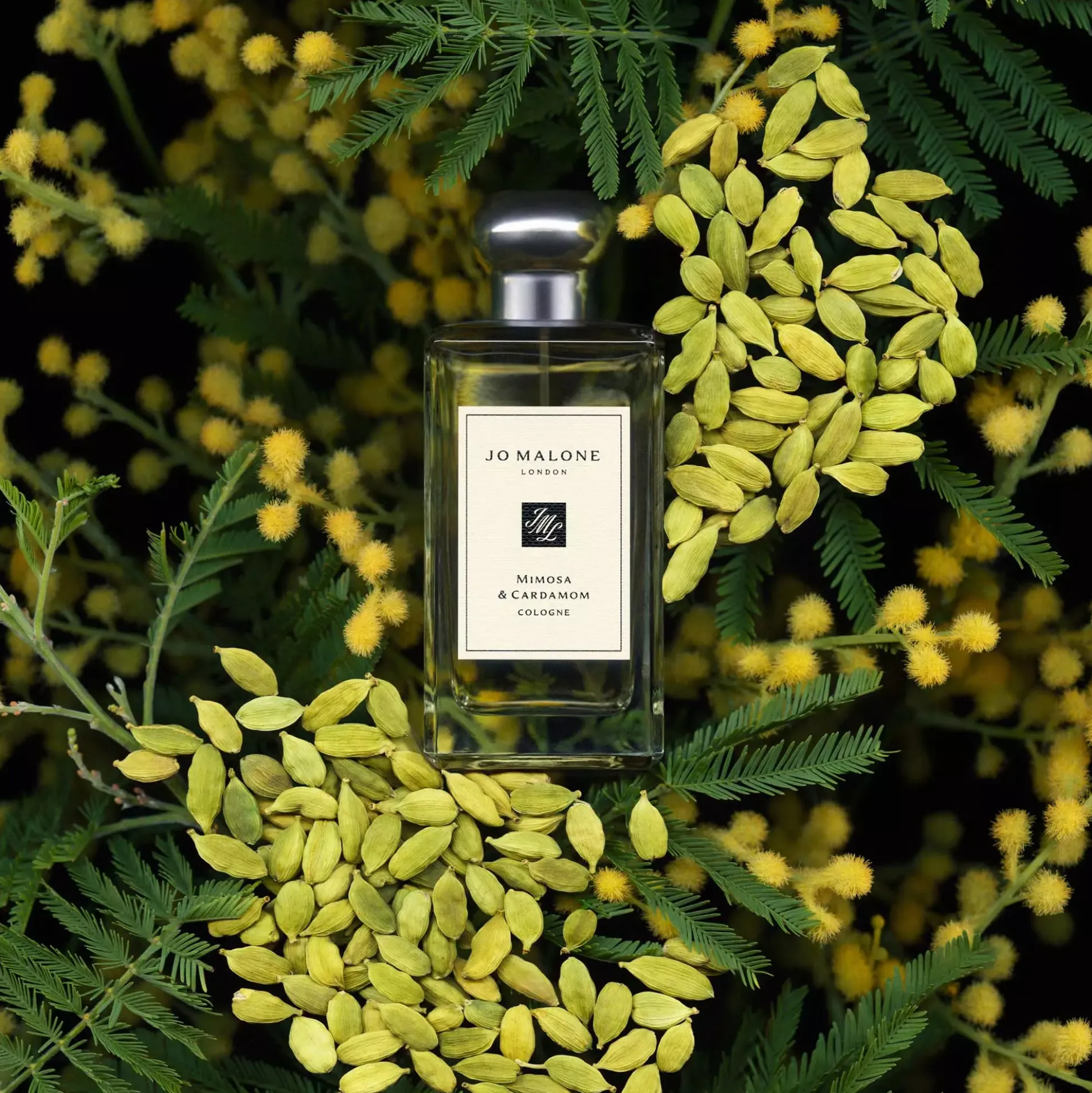 Jo Malone London Mimosa & Cardemom Cologne Pre-Pack 100 ml