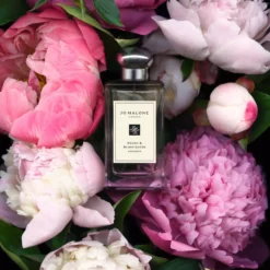 Jo Malone London Peony & Blush Suede Cologne Pre-Pack 100 ml