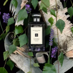 Jo Malone London Silver Birch & Lavender Cologne Pre-Pack 30 ml