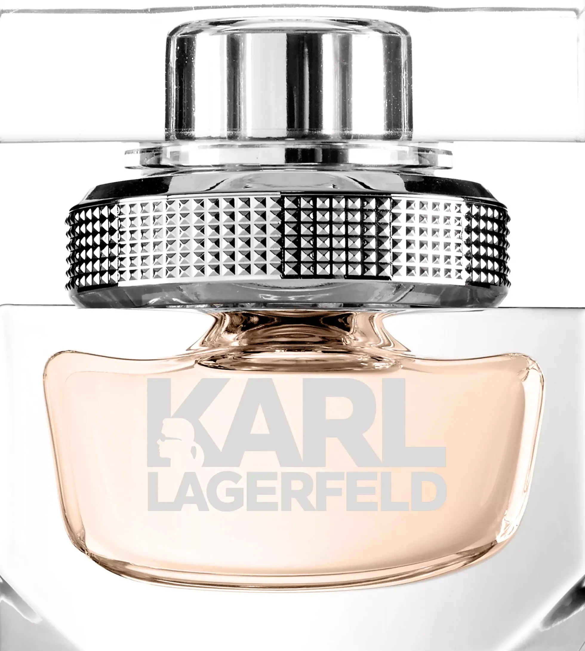 Karl Lagerfeld Pour Femme Eau de Parfum 45 ml