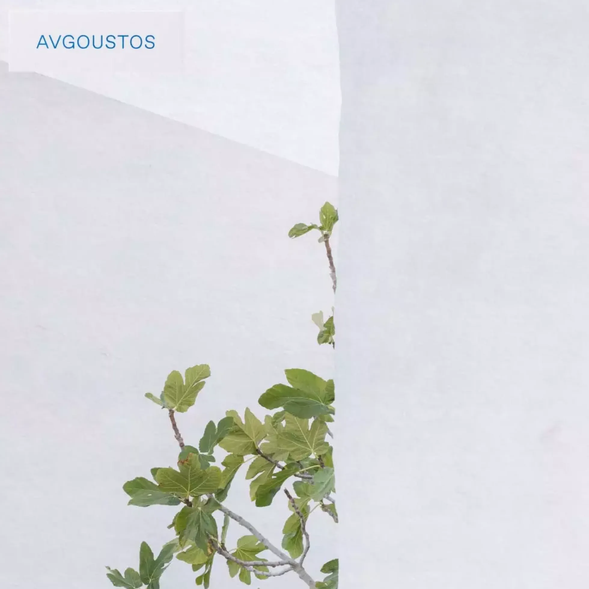 Korres Avgoustos Eau de Toilette 50 ml