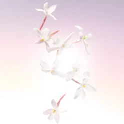 Lancôme Idole Eau de Parfum 25 ml