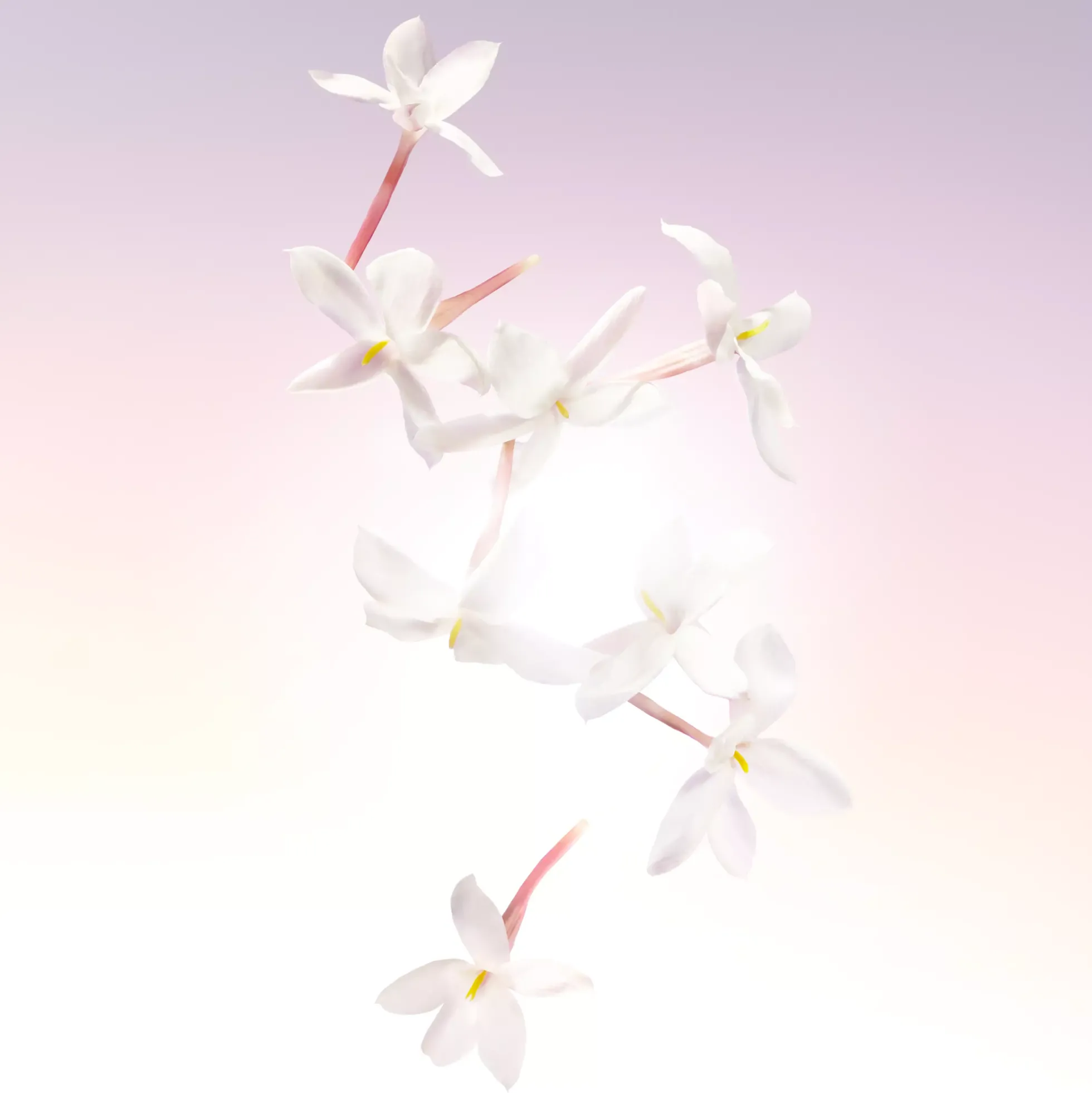 Lancôme Idole Eau de Parfum 25 ml