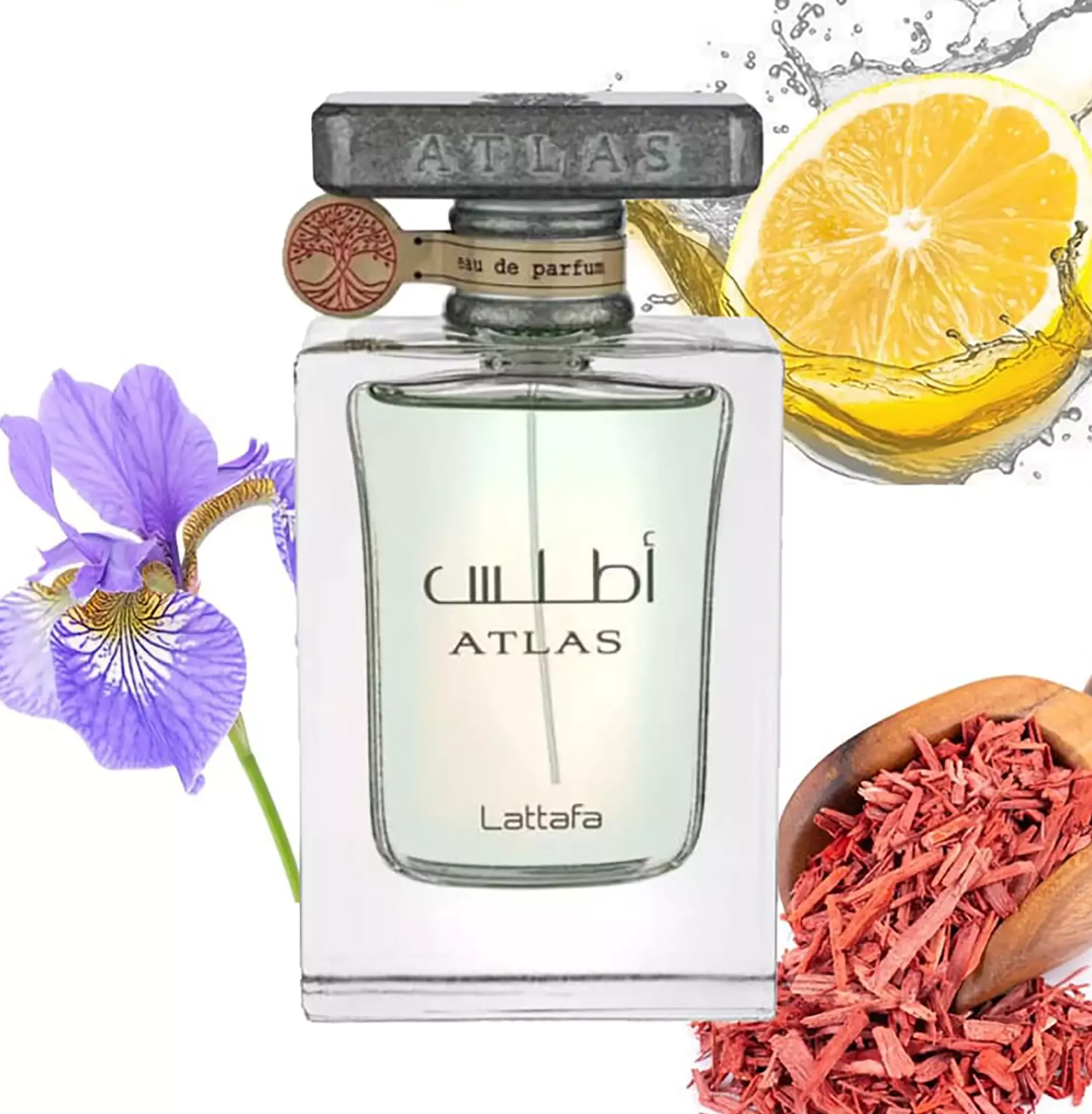 Lattafa Atlas Eau de Parfum 55 ml