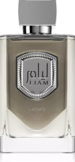 Lattafa Liam Grey Eau de Parfum 100 ml