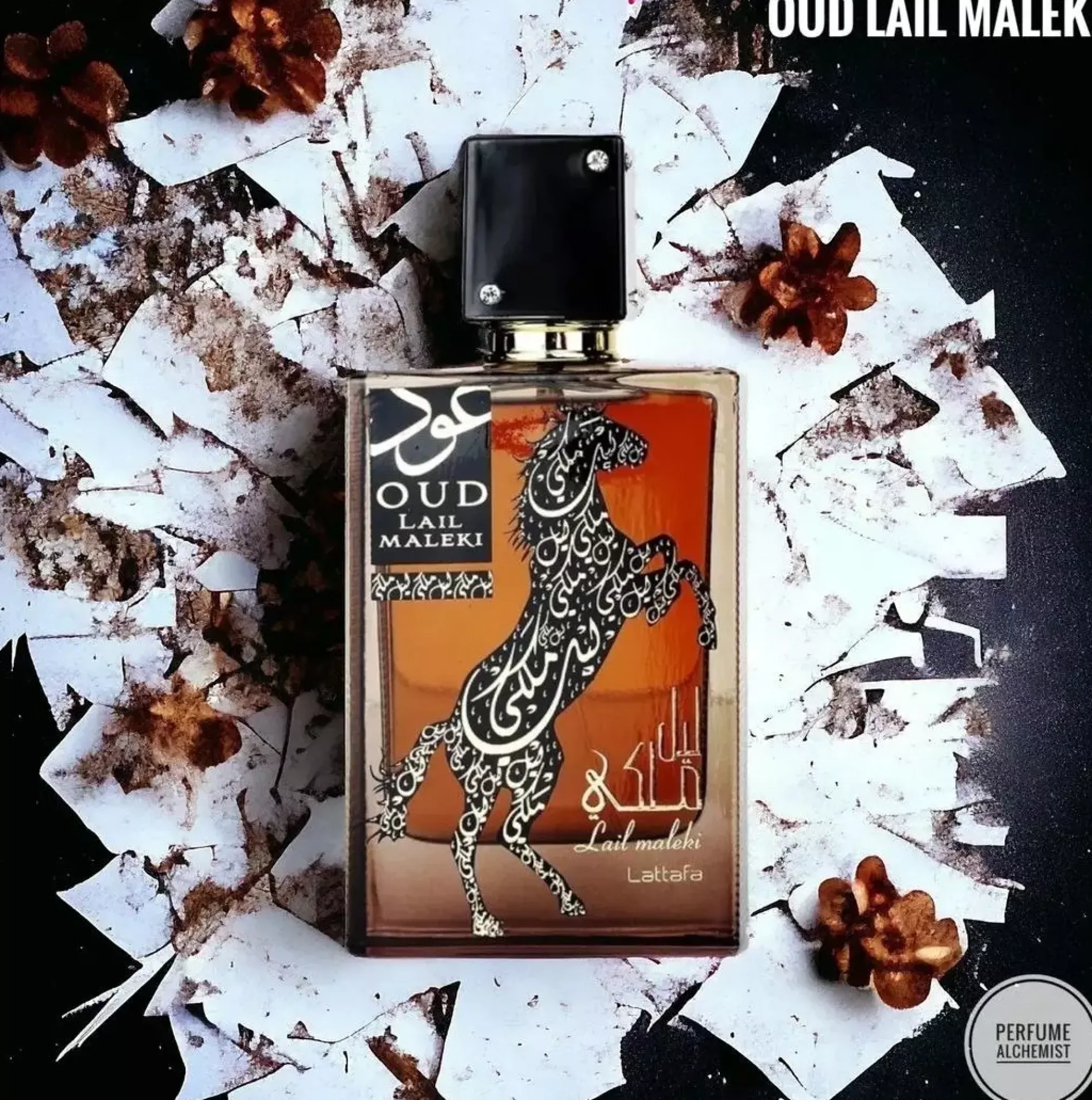 Lattafa Oud Lail Maleki Eau de Parfum 100 ml