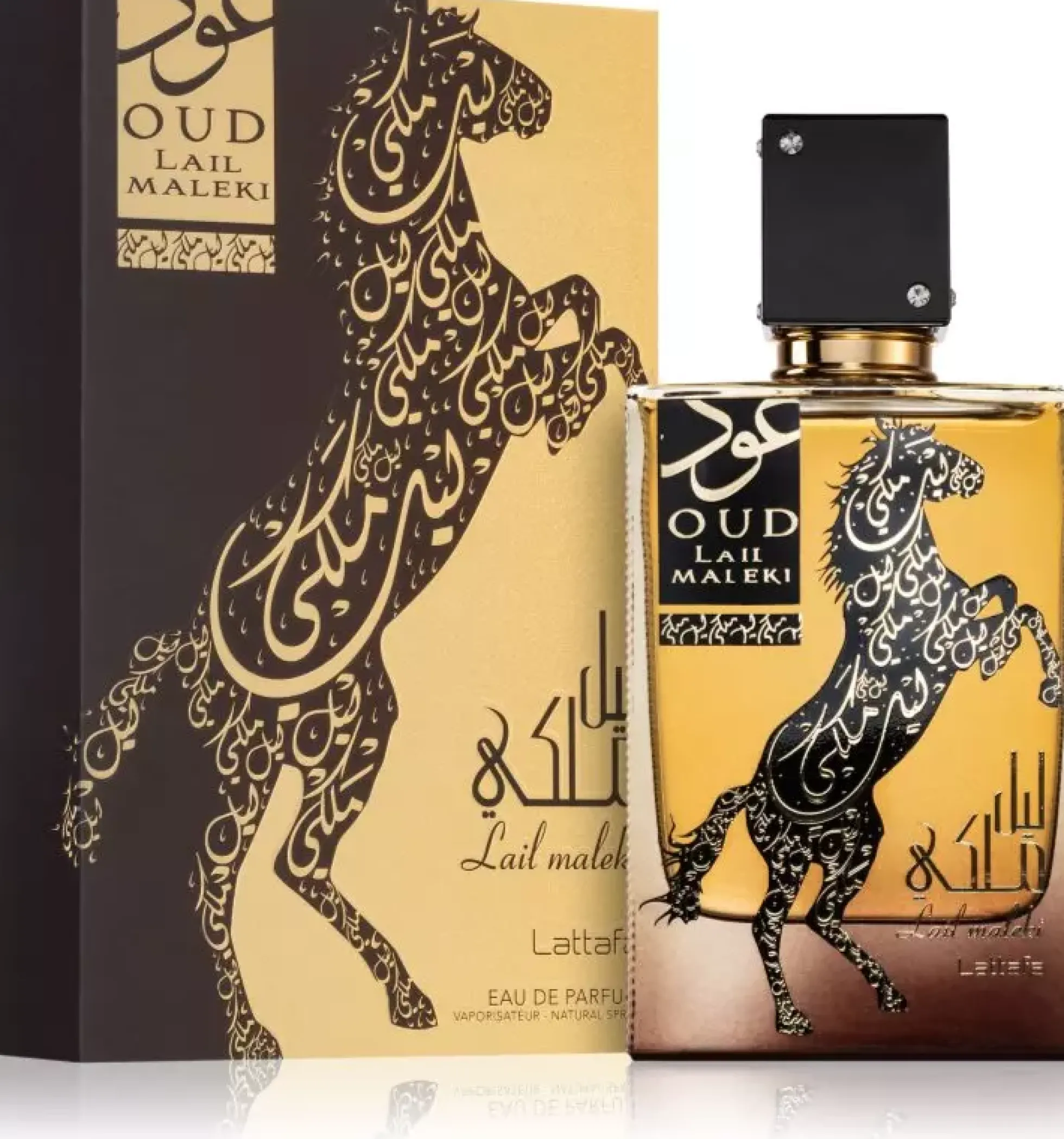 Lattafa Oud Lail Maleki Eau de Parfum 100 ml