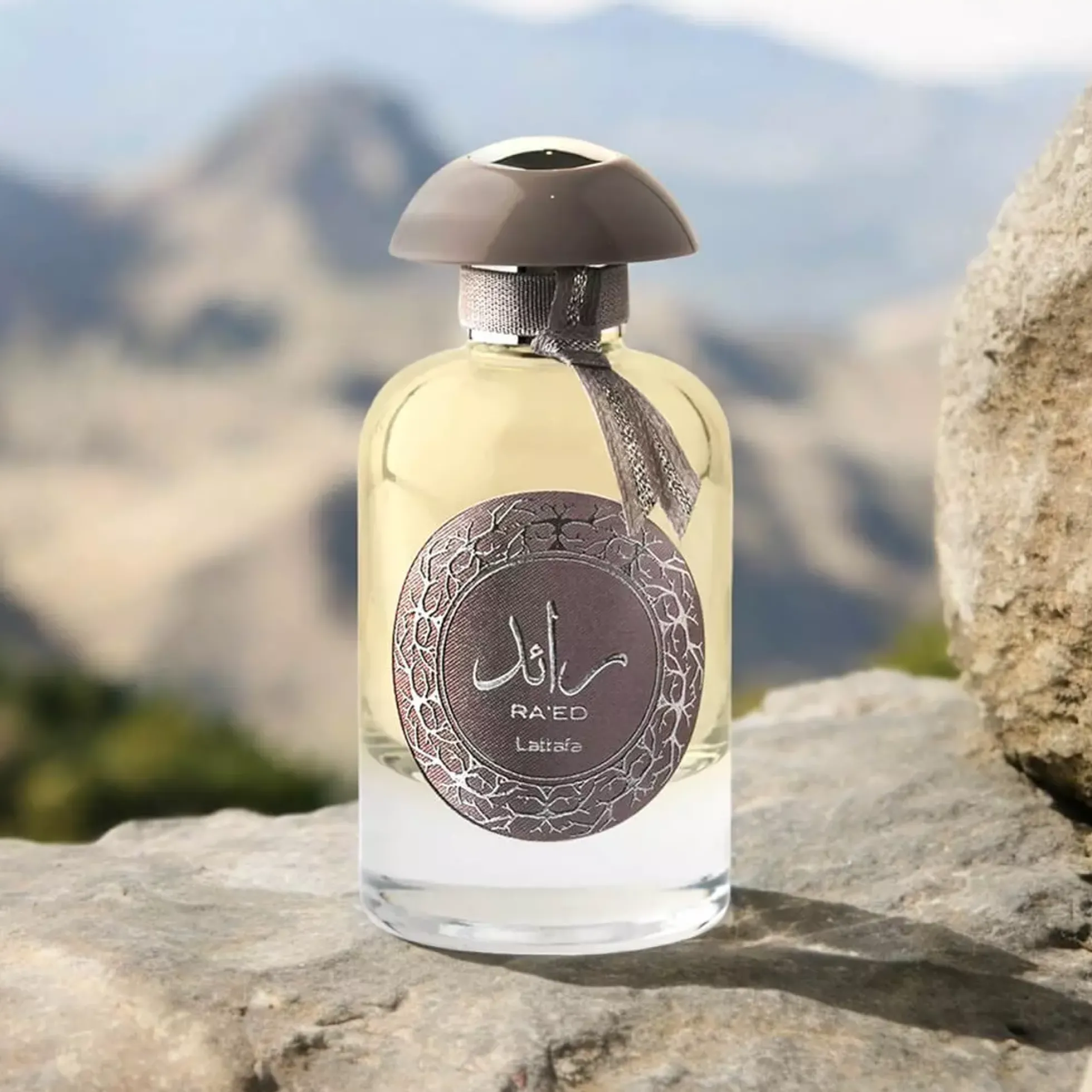 Lattafa Raed Silver Eau de Parfum 100 ml