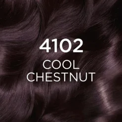 Loreal ParisCasting Creme Gloss Casting Crème Gloss 4102 Cool Chestnut