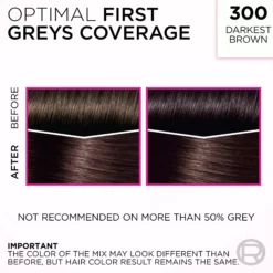 Loreal Paris Casting Crème Gloss 360 Black Cherry