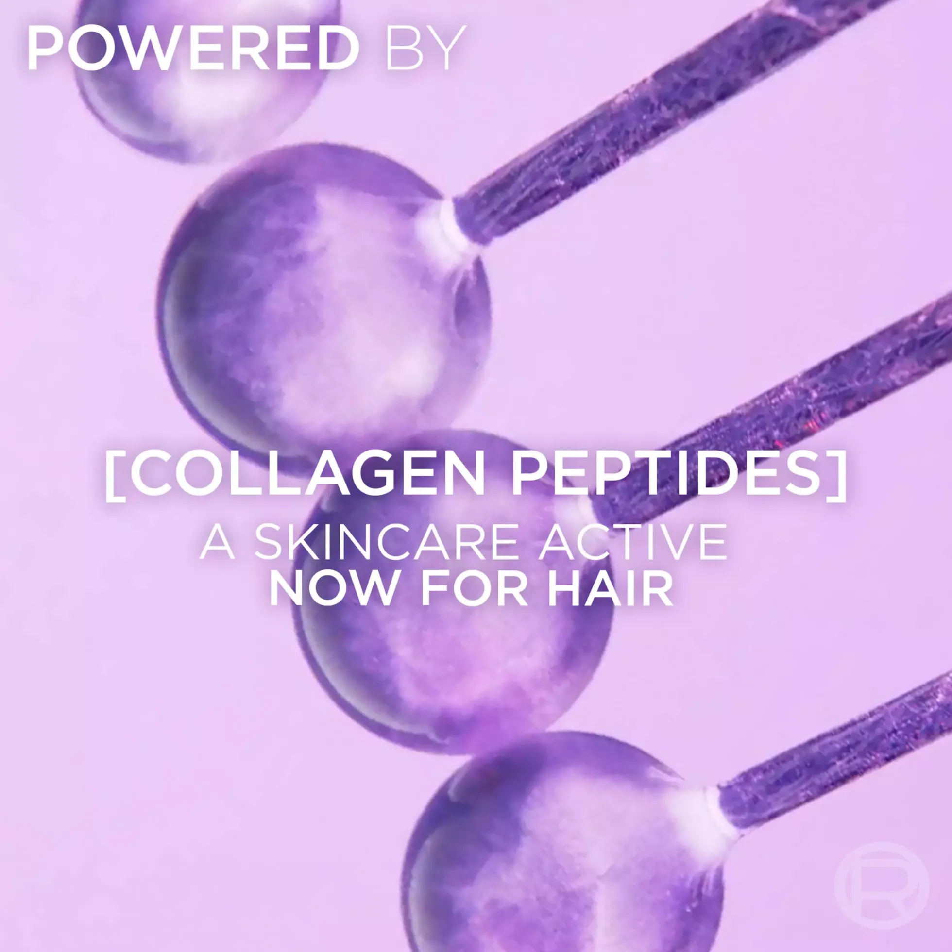 Loreal ParisElvital Collagen Lifter Shampoo 250 ml & Conditioner 200ml & Big Hair Day Refreshing Volume Spray 200 ml