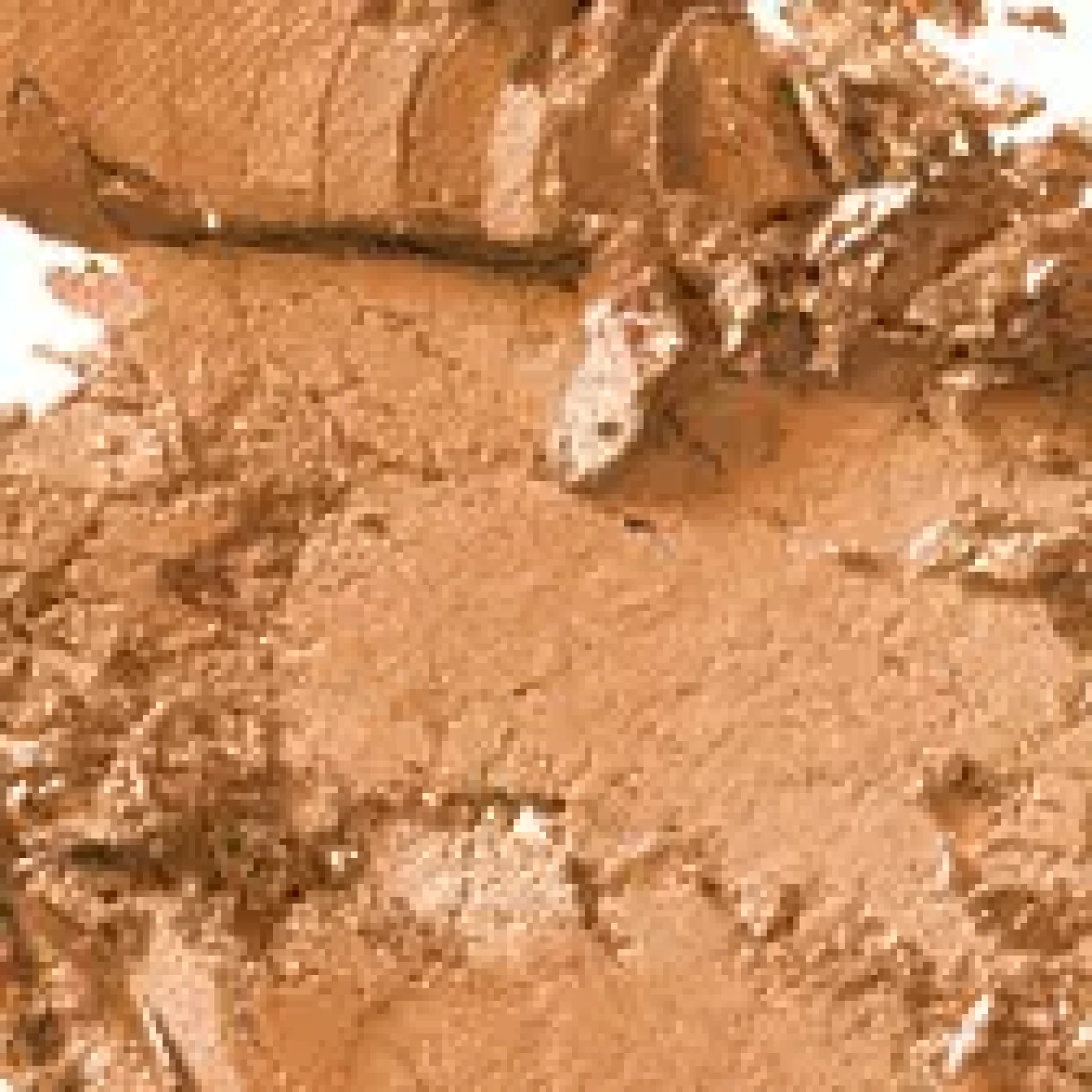 MAC Cosmetics Frost Eye Shadow Pro Palette Refill Satin Taupe