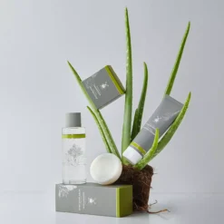 Mühle Aloe Vera Raktvål 65g 65 ml