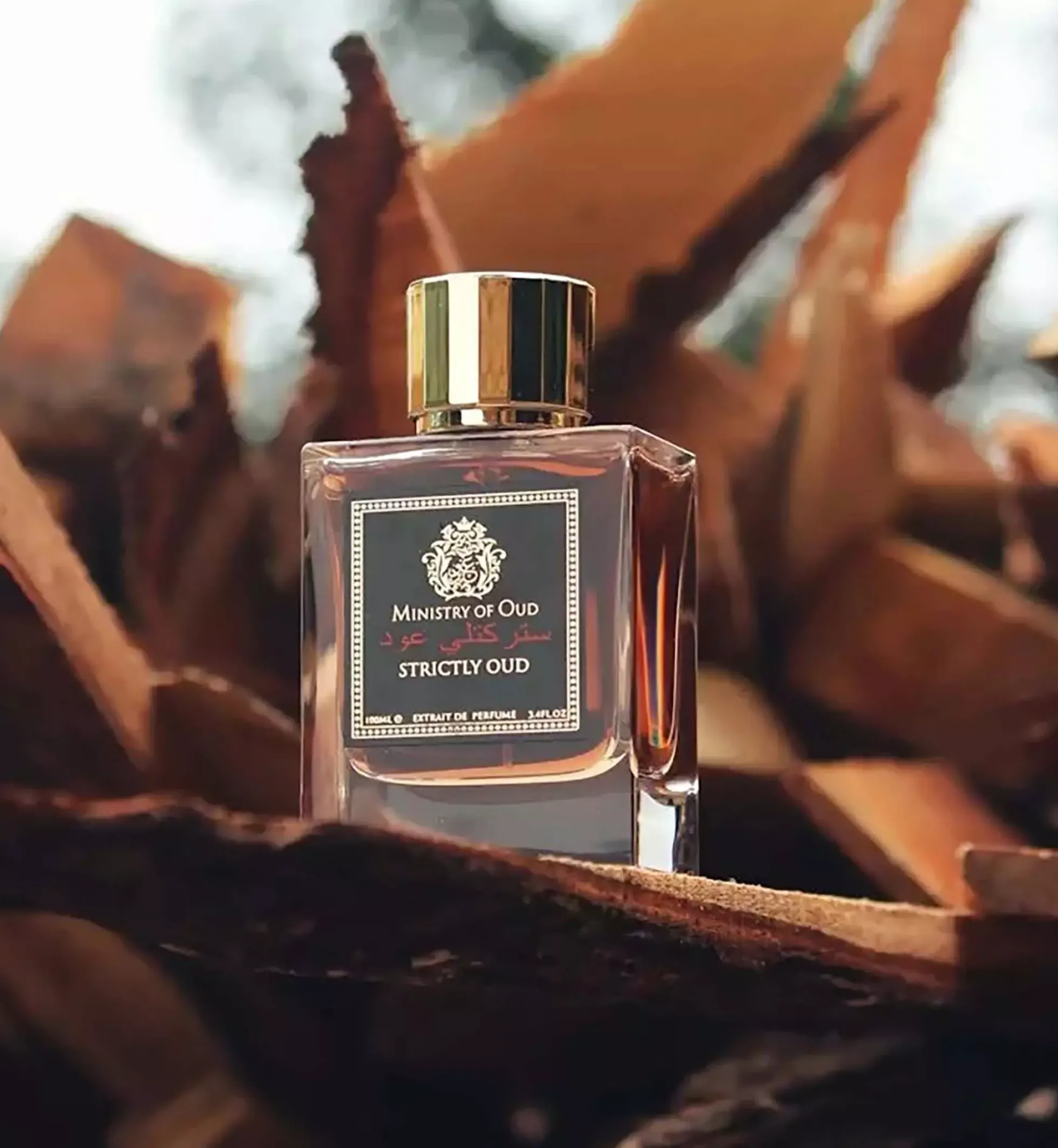 Ministry of Oud Strictly Extrait de Parfum 100 ml