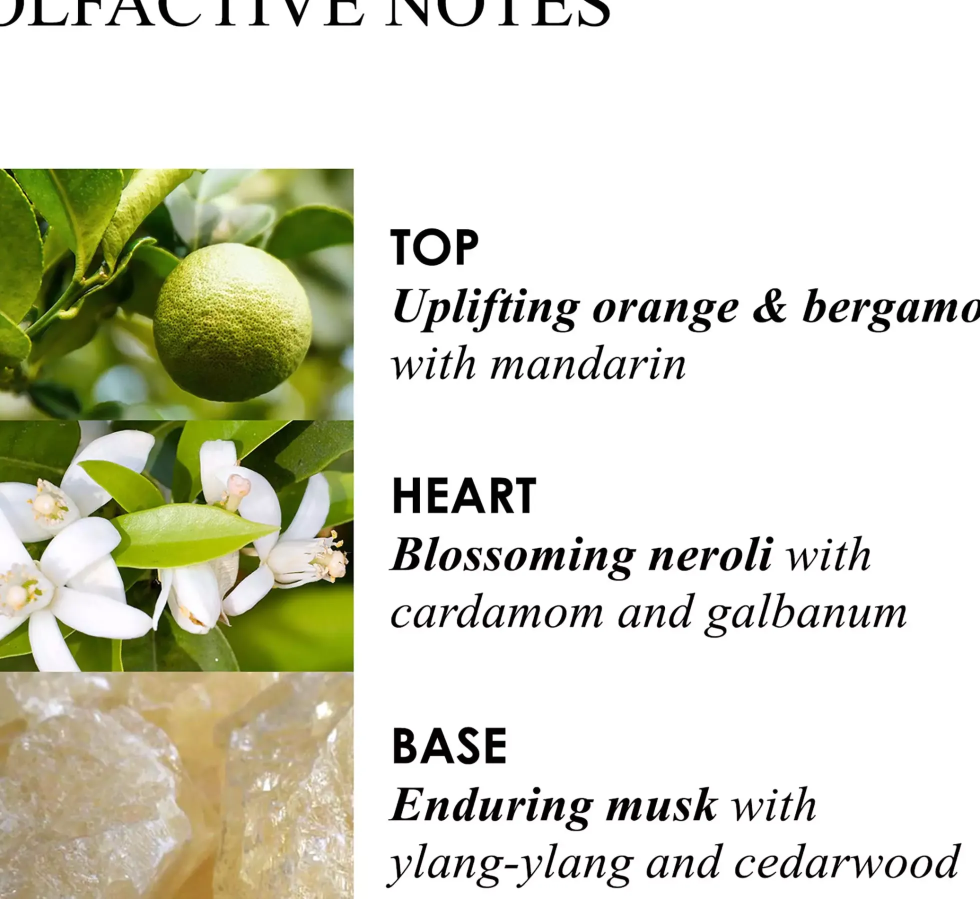 Molton Brown Orange & Bergamot Signature Candle