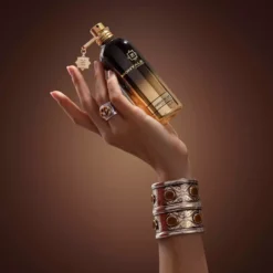 Montale Amber Musk Eau de Parfum 100 ml