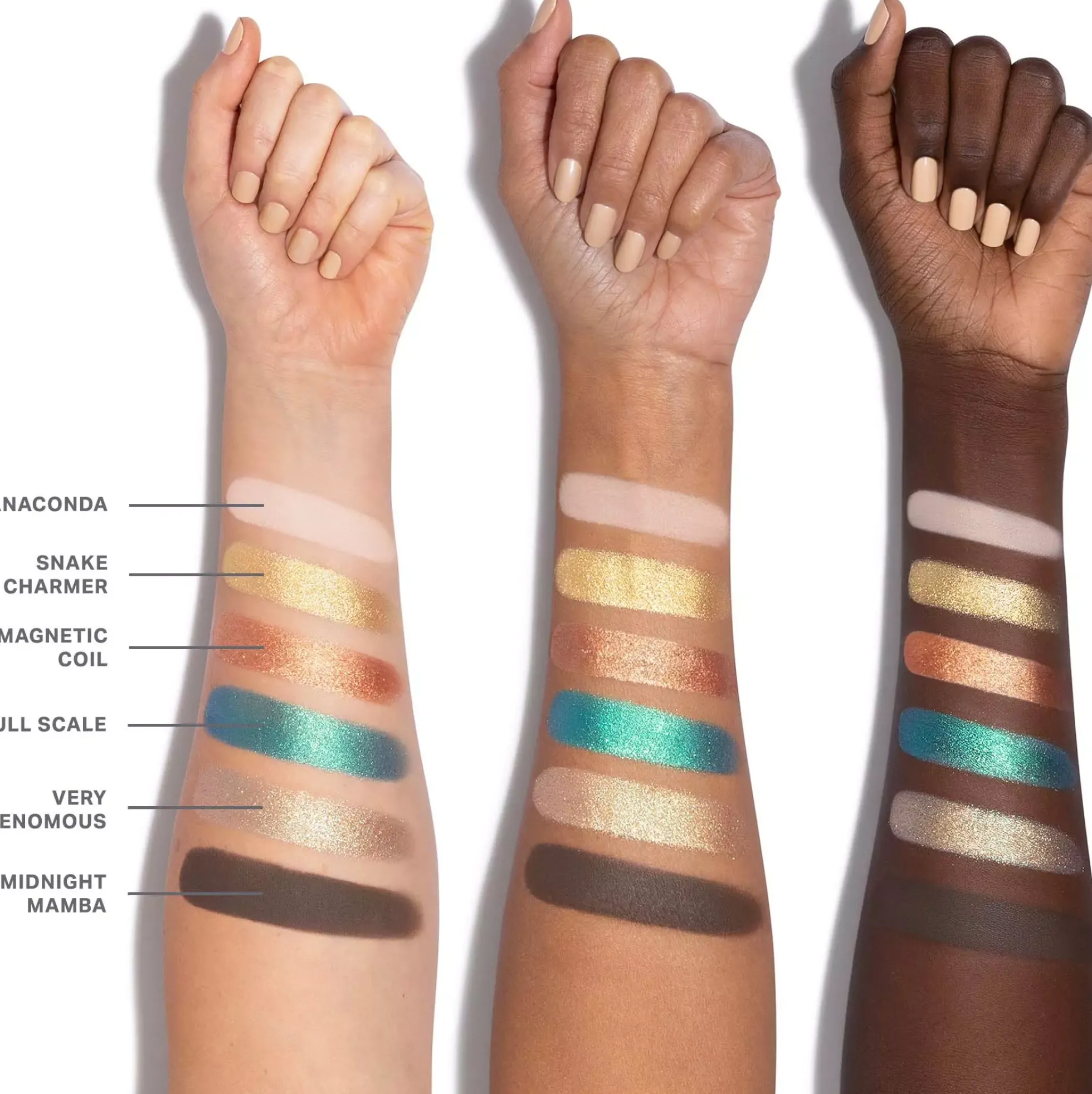 Morphe 6-Pan Eyeshadow Palette Python Code