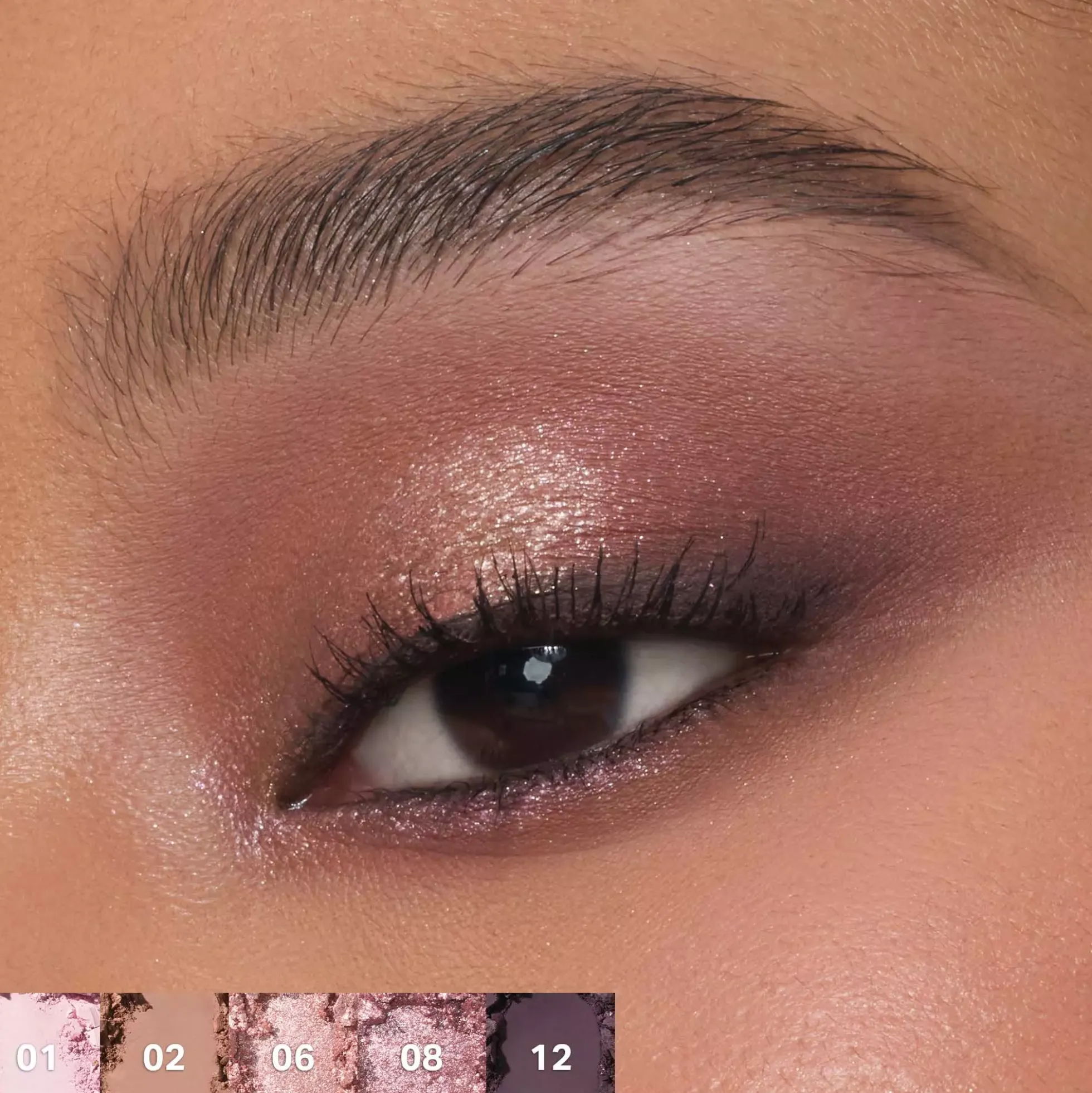 Morphe 12-Pan Eyeshadow Palette Rose Frequency Rose Frequency